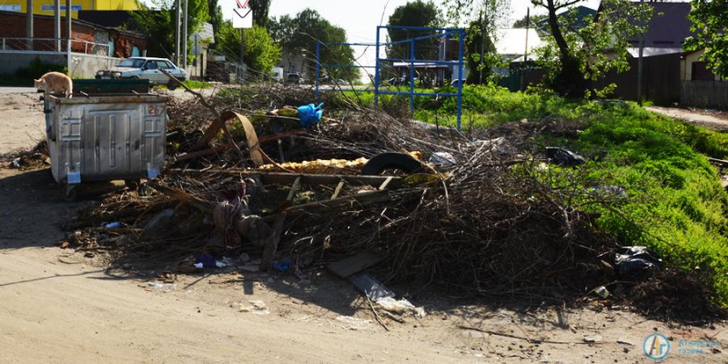 Жители Аткарска недовольны вывозом мусора