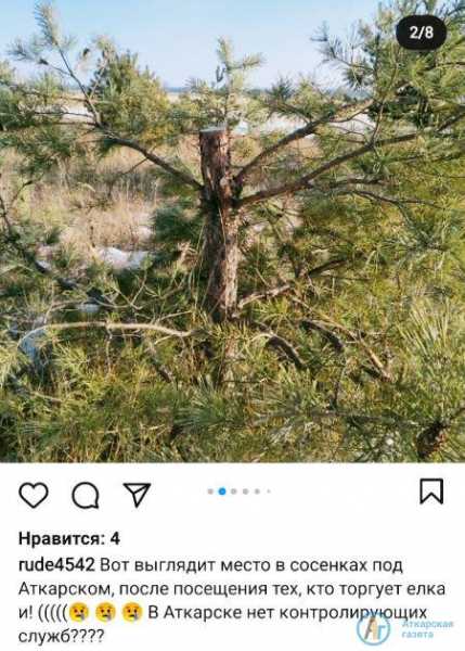 Жители Аткарска в соцсетях осудили действия браконьеров