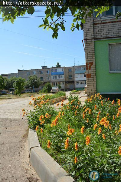 Жители четырех домов Залинейного микрорайона дружно ухаживают за цветниками