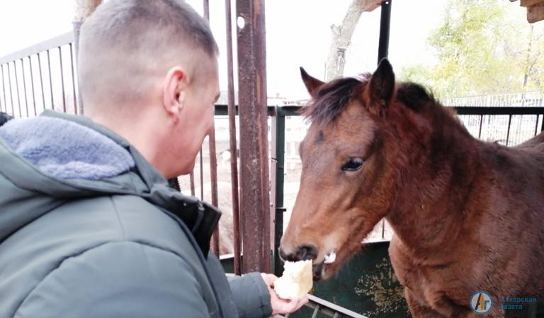 Жители Даниловки накормили зверей в зоопарке