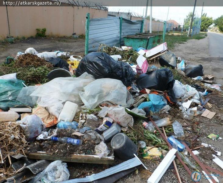 Жители города возмущены стихийными свалками