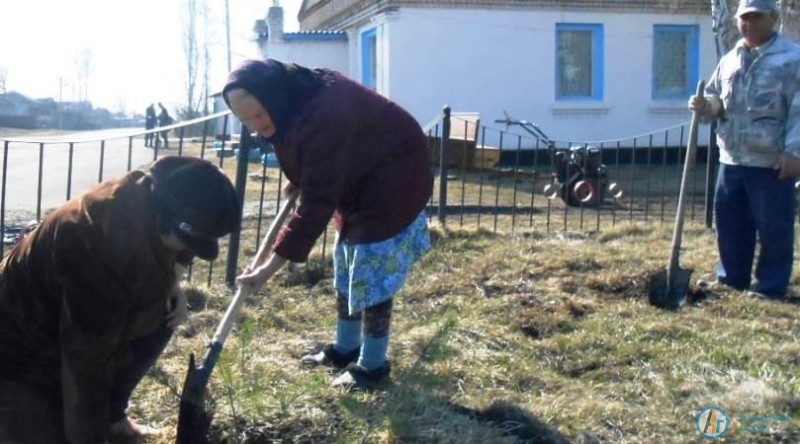 Жители Малой Осиновки растят сад у памятника героям войны