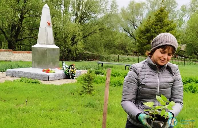 Жители Малой Осиновки растят сад у памятника героям войны