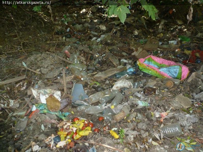 Жители улицы Красногорской сваливают отходы в Аткару