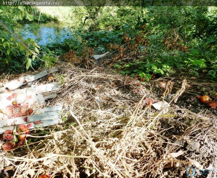 Жители улицы Красногорской сваливают отходы в Аткару