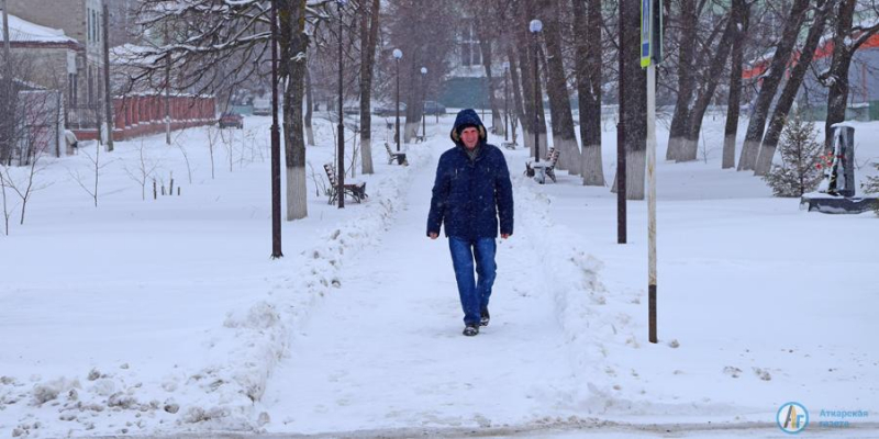 Зима вернулась в день прилета жаворонков