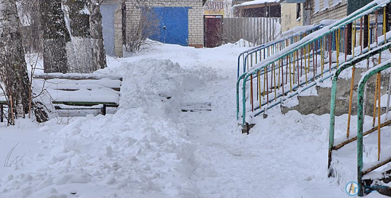 Зима вернулась в день прилета жаворонков