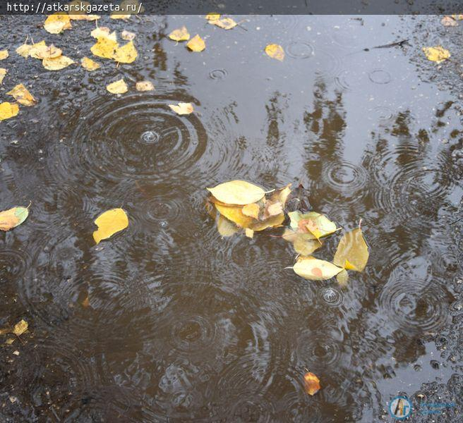 Золотую осень в Аткарске размочили теплые дожди